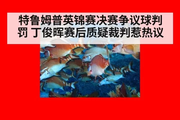 特鲁姆普英锦赛决赛争议球判罚 丁俊晖赛后质疑裁判惹热议